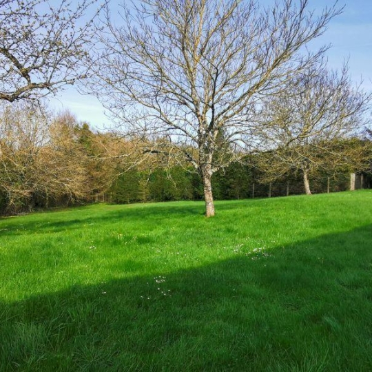  Agence Immobilière Berland Bennett : Maison / Villa | CIVRAY (86400) | 87 m2 | 77 490 € 