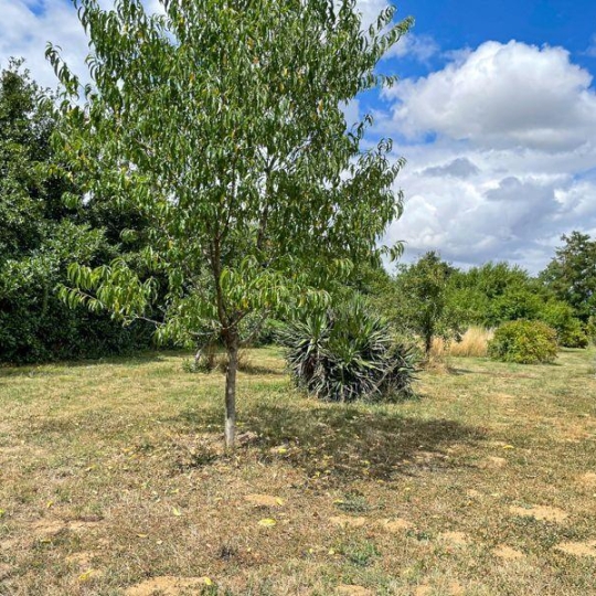  Agence Immobilière Berland Bennett : House | CHEF-BOUTONNE (79110) | 205 m2 | 155 500 € 