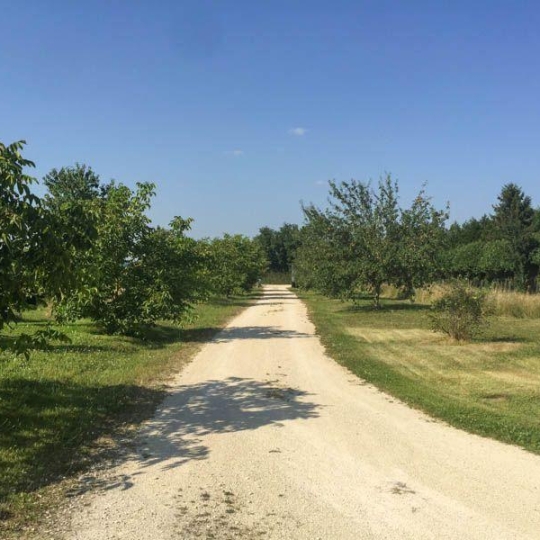  Agence Immobilière Berland Bennett : Maison / Villa | RUFFEC (16700) | 300 m2 | 337 600 € 