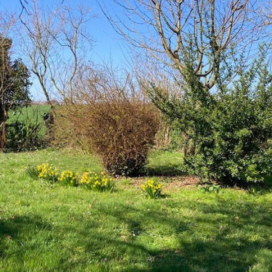  Agence Immobilière Berland Bennett : Maison / Villa | CHEF-BOUTONNE (79110) | 202 m2 | 217 700 € 