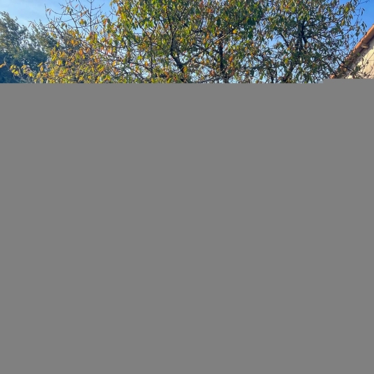  Agence Immobilière Berland Bennett : Maison / Villa | SAUZE-VAUSSAIS (79190) | 179 m2 | 199 950 € 