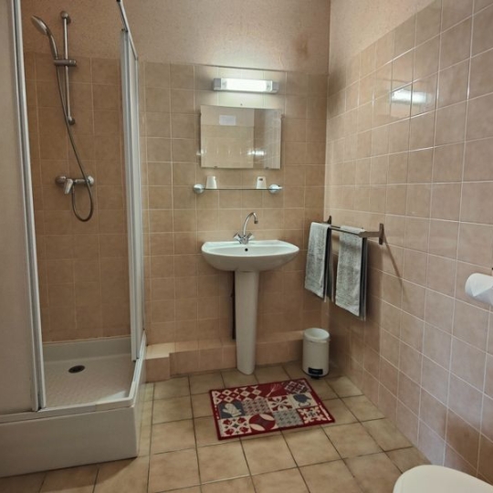  Agence Immobilière Berland Bennett : House | CHARROUX (86250) | 367 m2 | 171 600 € 