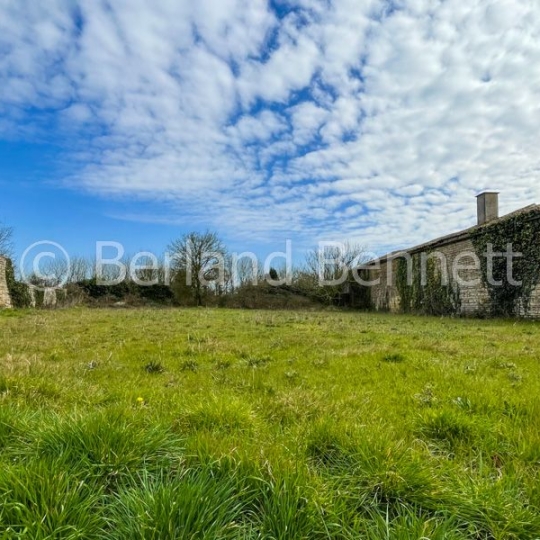  Agence Immobilière Berland Bennett : Ground | CHEF-BOUTONNE (79110) | 0 m2 | 18 500 € 