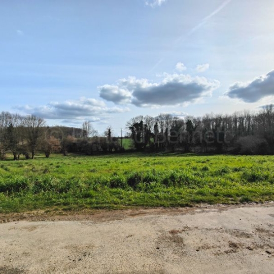  Agence Immobilière Berland Bennett : Maison / Villa | SAUZE-VAUSSAIS (79190) | 91 m2 | 64 200 € 
