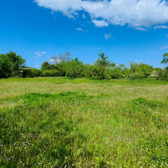  Agence Immobilière Berland Bennett : Maison / Villa | SAUZE-VAUSSAIS (79190) | 166 m2 | 119 350 € 