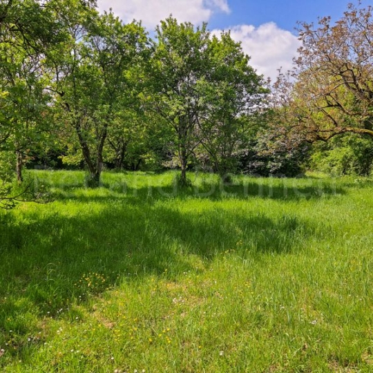  Agence Immobilière Berland Bennett : Maison / Villa | LEZAY (79120) | 177 m2 | 233 200 € 