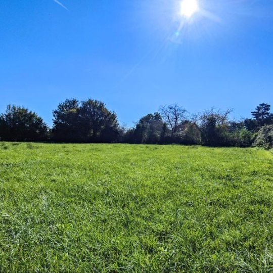  Agence Immobilière Berland Bennett : House | SAUZE-VAUSSAIS (79190) | 150 m2 | 159 100 € 