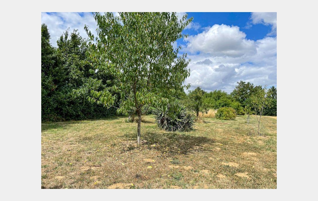 Agence Immobilière Berland Bennett : House | CHEF-BOUTONNE (79110) | 205 m2 | 155 500 € 