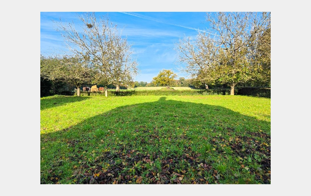Agence Immobilière Berland Bennett : Maison / Villa | SAUZE-VAUSSAIS (79190) | 113 m2 | 111 000 € 