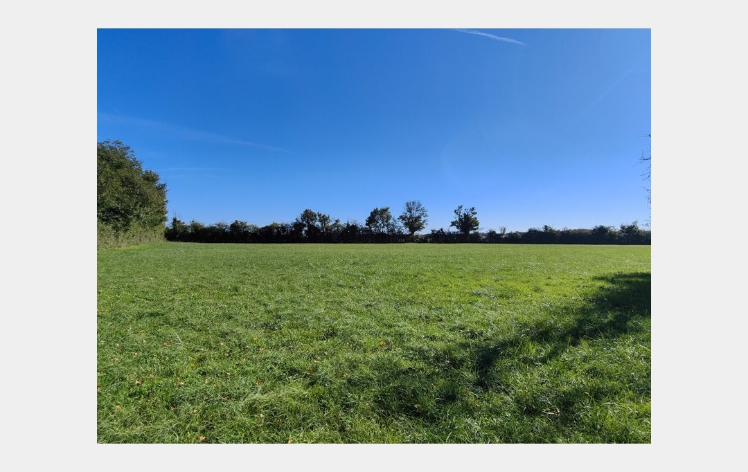 Agence Immobilière Berland Bennett : Maison / Villa | SAUZE-VAUSSAIS (79190) | 150 m2 | 165 800 € 
