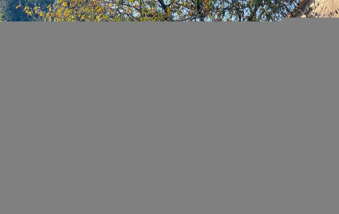 Agence Immobilière Berland Bennett : Maison / Villa | SAUZE-VAUSSAIS (79190) | 179 m2 | 199 950 € 