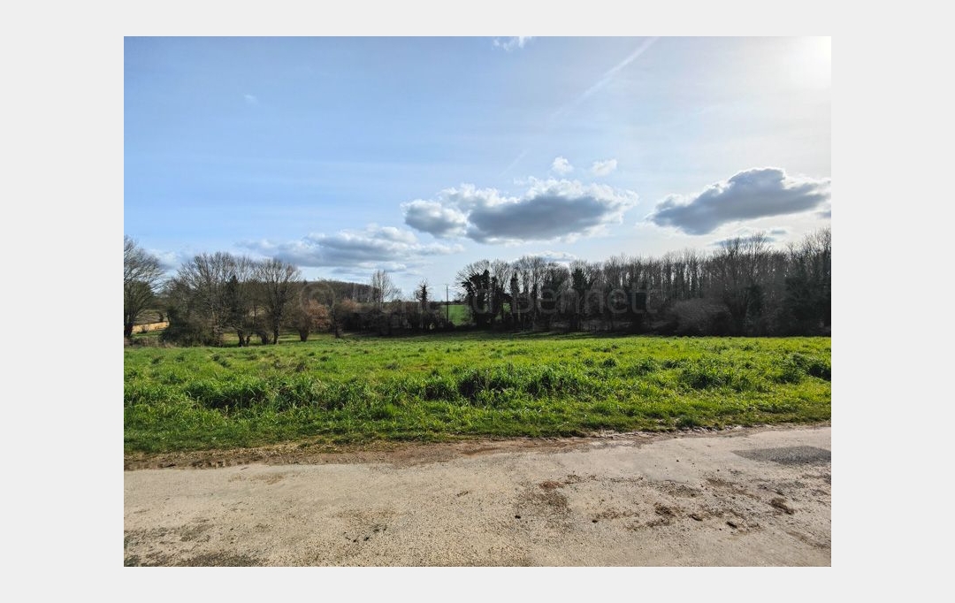 Agence Immobilière Berland Bennett : Maison / Villa | SAUZE-VAUSSAIS (79190) | 91 m2 | 64 200 € 