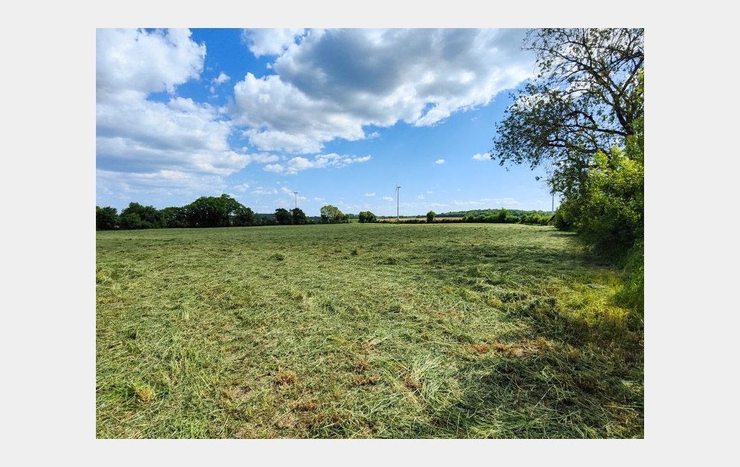 Agence Immobilière Berland Bennett : Maison / Villa | SAUZE-VAUSSAIS (79190) | 166 m2 | 134 500 € 