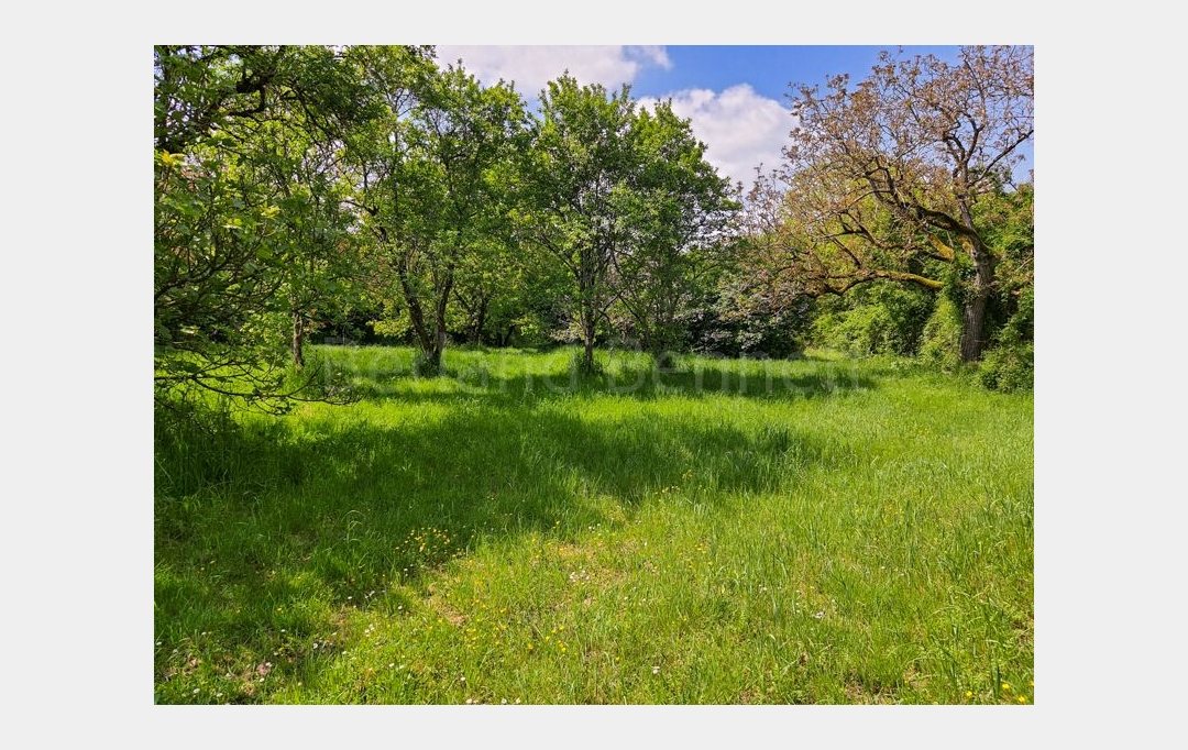Agence Immobilière Berland Bennett : Maison / Villa | LEZAY (79120) | 177 m2 | 233 200 € 
