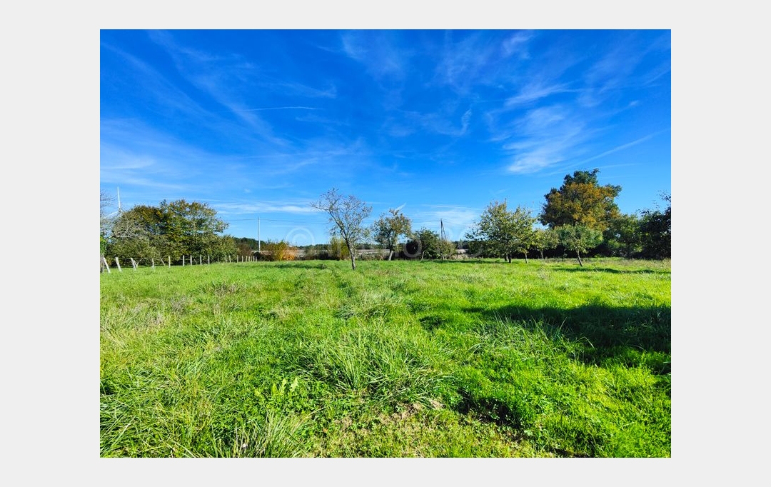 Agence Immobilière Berland Bennett : Maison / Villa | CHAUNAY (86510) | 145 m2 | 119 350 € 