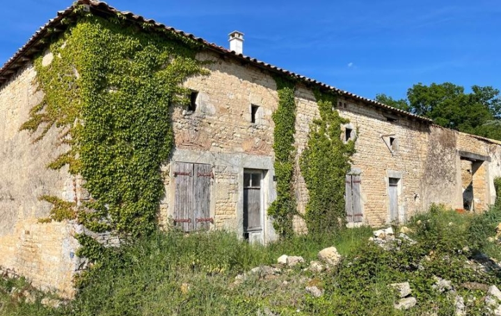 Agence Immobilière Berland Bennett : Maison / Villa | SAUZE-VAUSSAIS (79190) | 215 m2 | 48 840 € 