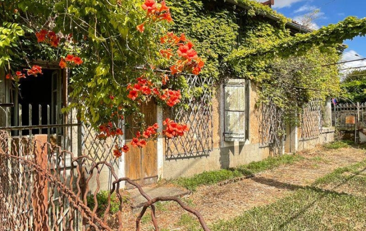  Agence Immobilière Berland Bennett Maison / Villa | SAUZE-VAUSSAIS (79190) | 214 m2 | 57 500 € 